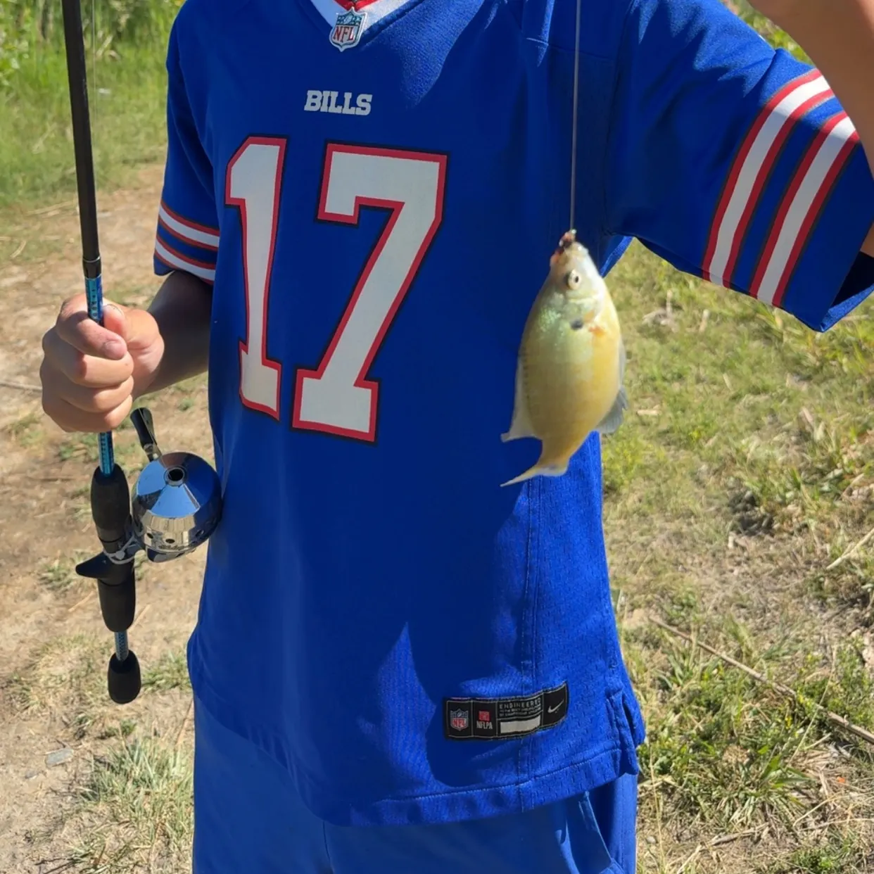 Bluegill caught on Fishbrain