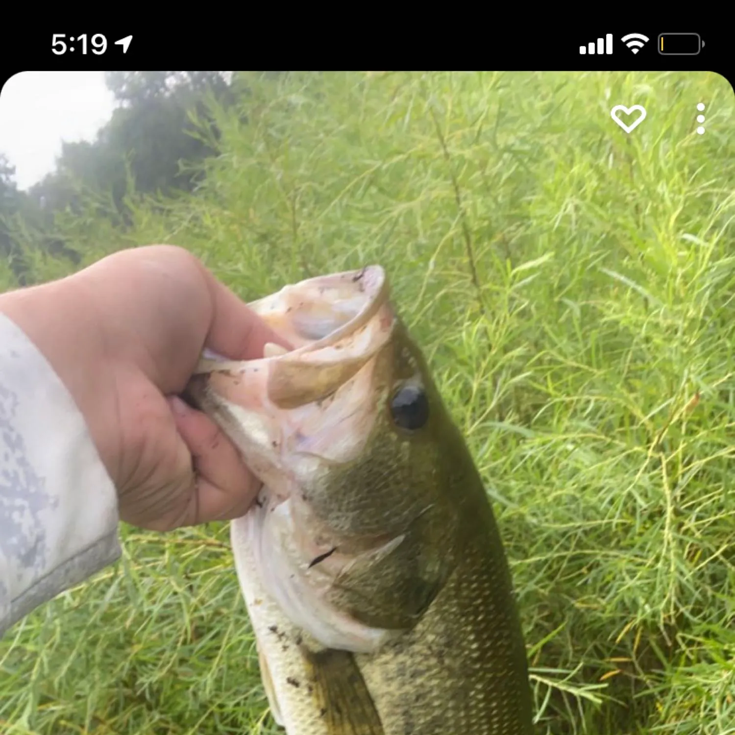 recently logged catches