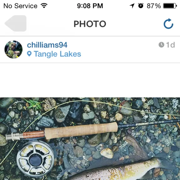 recently logged catches