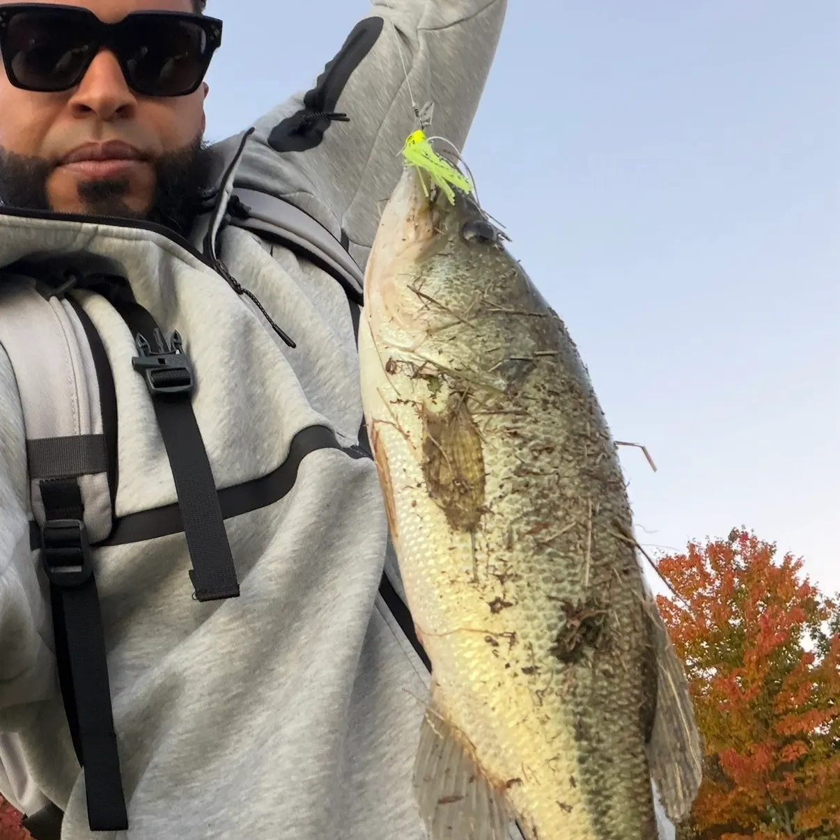 Largemouth bass caught on Fishbrain