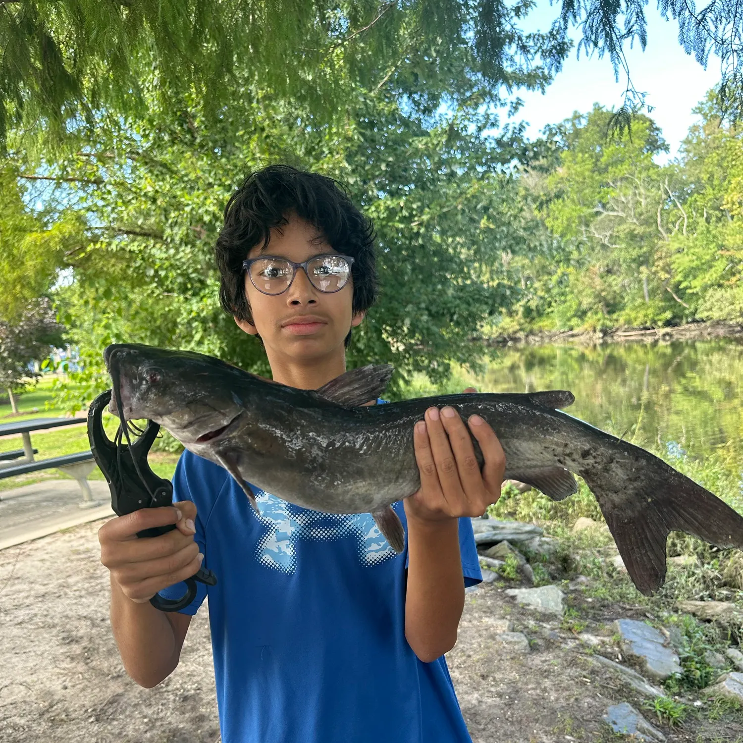 Channel catfish caught on Fishbrain