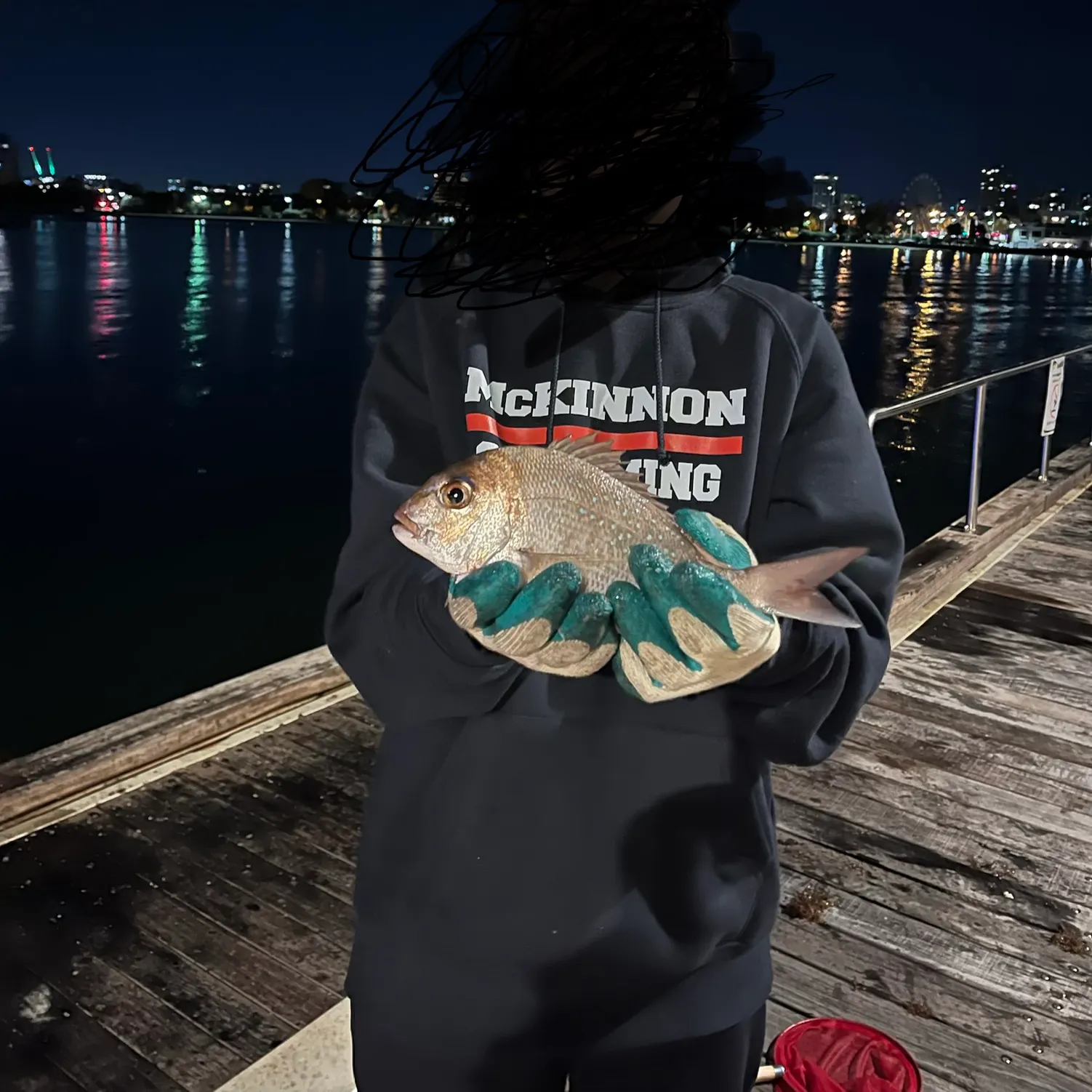The most recent Australasian snapper catches on Fishbrain