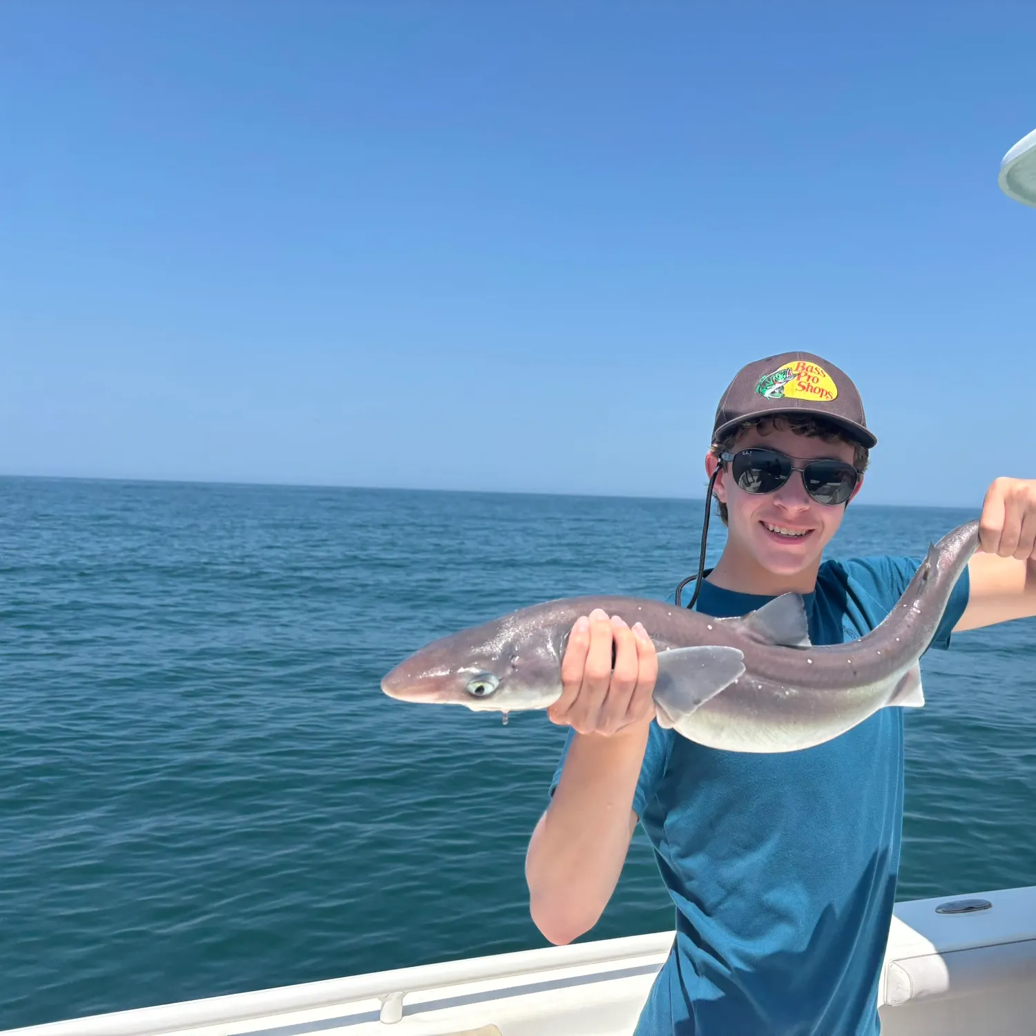 The most recent Piked dogfish catches on Fishbrain