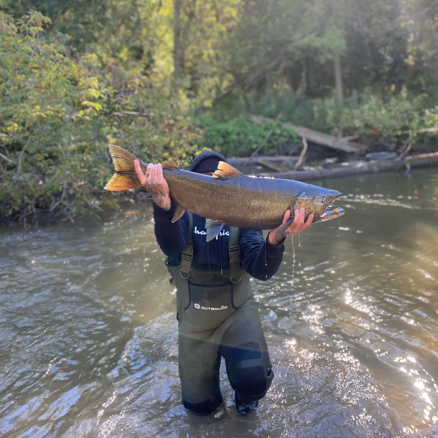 Chinook salmon caught on Fishbrain