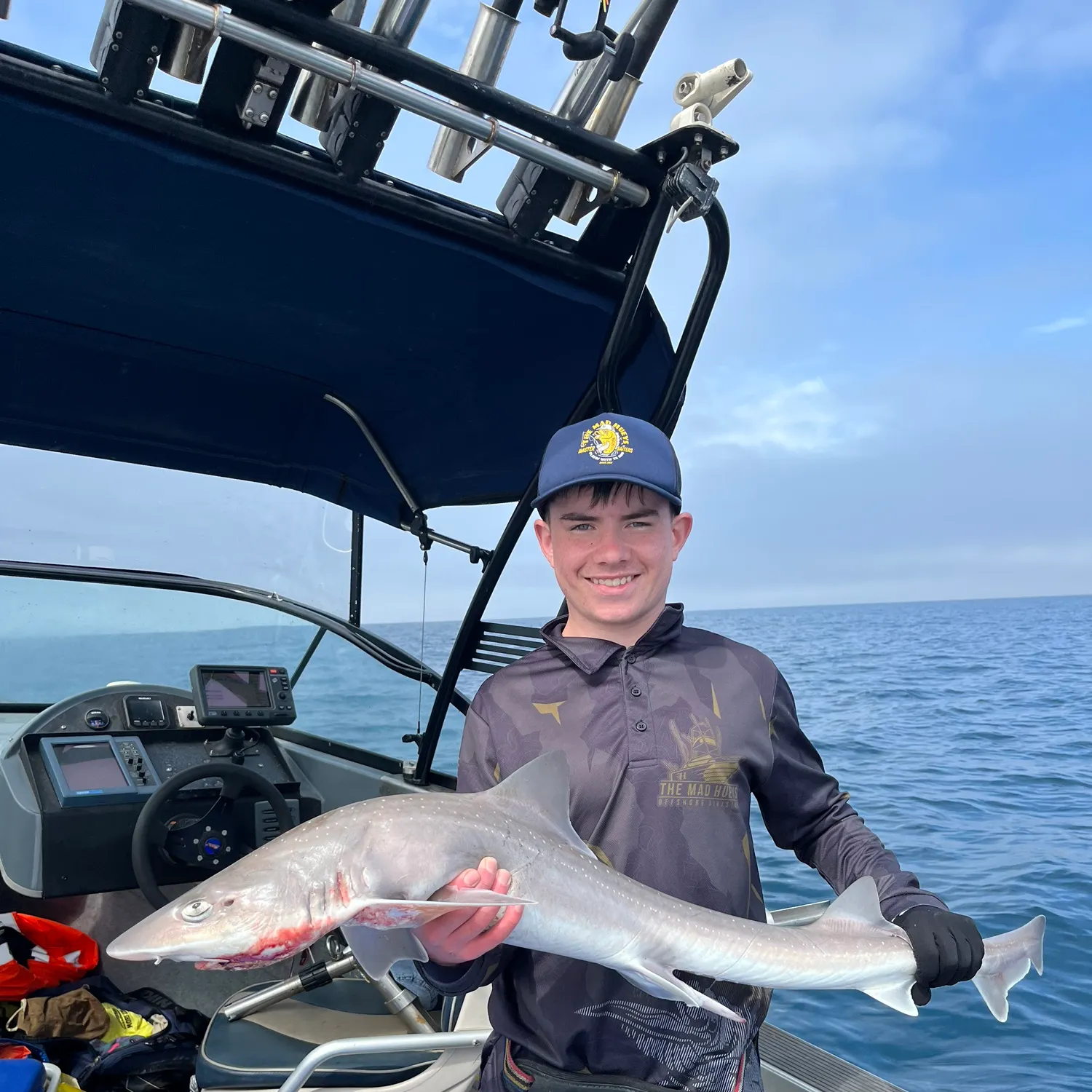 Gummy shark caught on Fishbrain