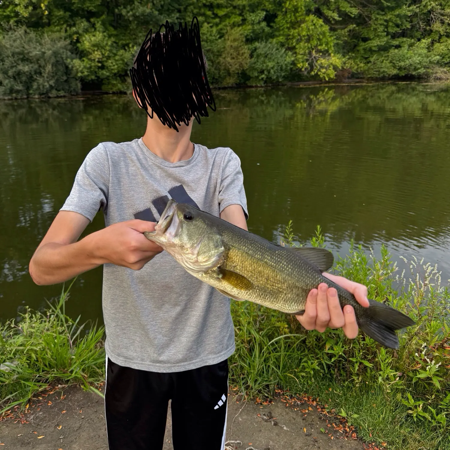 Largemouth bass caught on Fishbrain