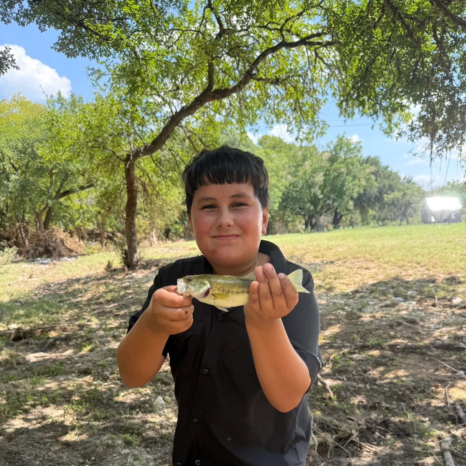 Spotted bass caught on Fishbrain