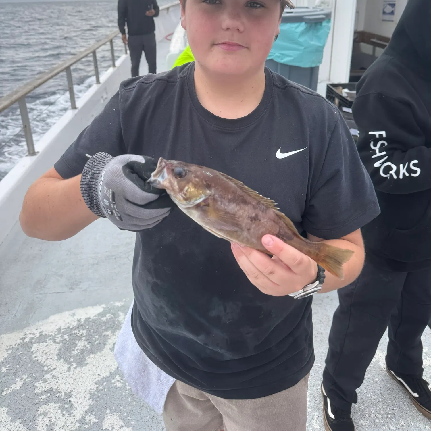 Fish caught on Fishbrain
