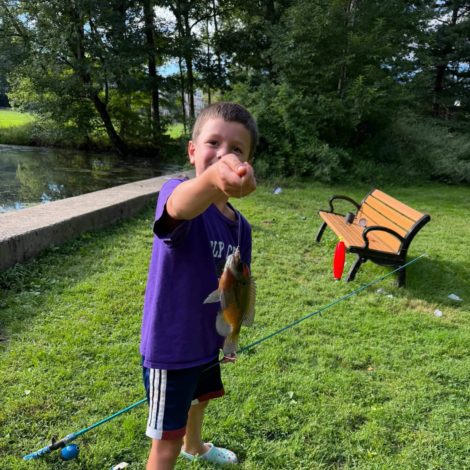 Bluegill caught on Fishbrain