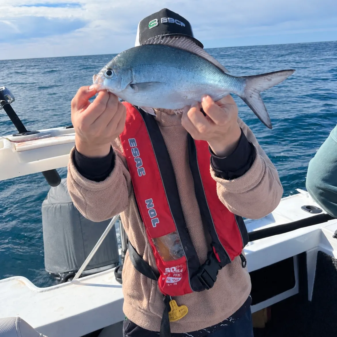 Silver sweep caught on Fishbrain