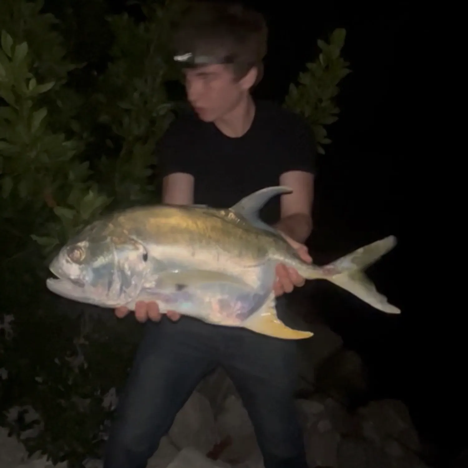The most recent Crevalle jack catches on Fishbrain