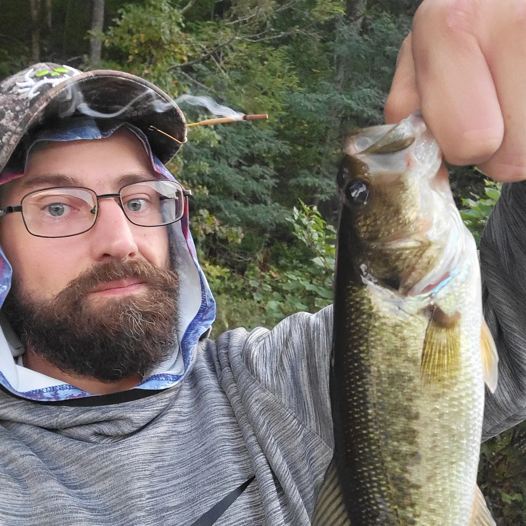 Largemouth bass caught on Fishbrain