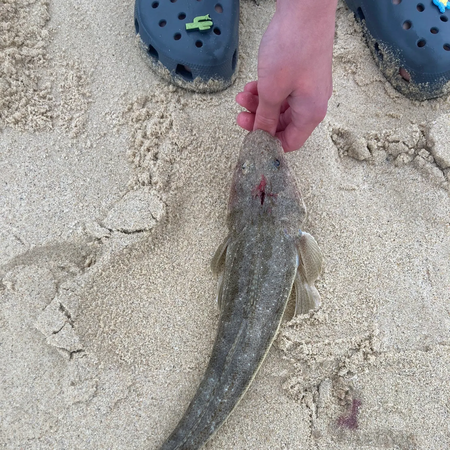 Dusky flathead caught on Fishbrain