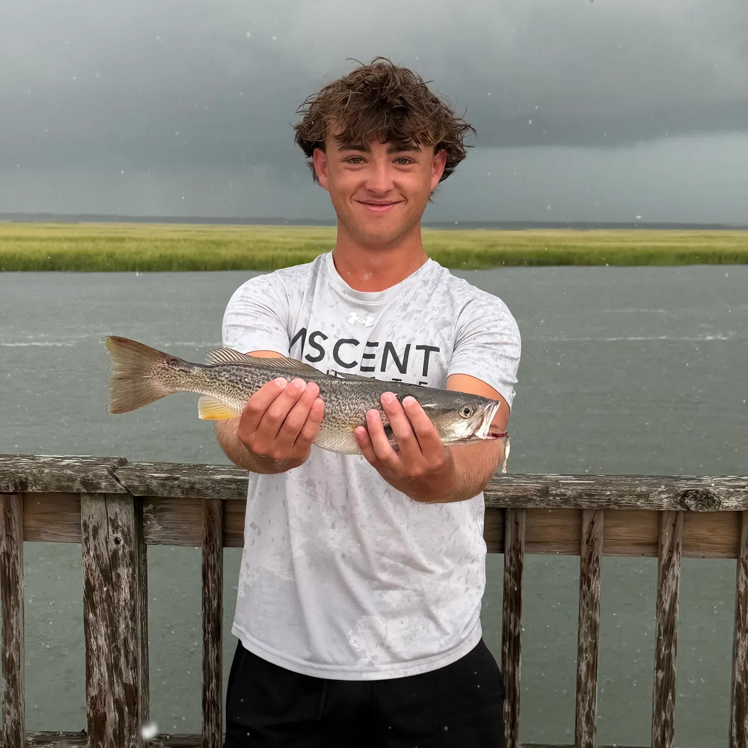 Gray weakfish caught on Fishbrain