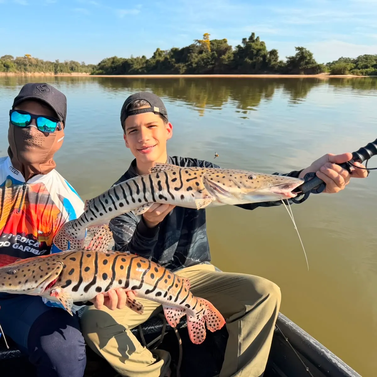 The most recent Barred sorubim catches on Fishbrain