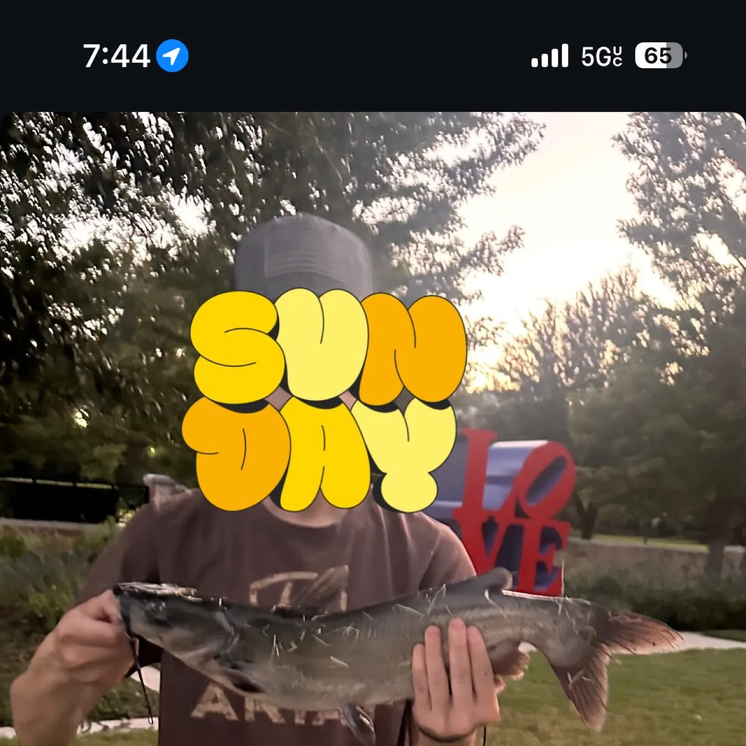 recently logged catches