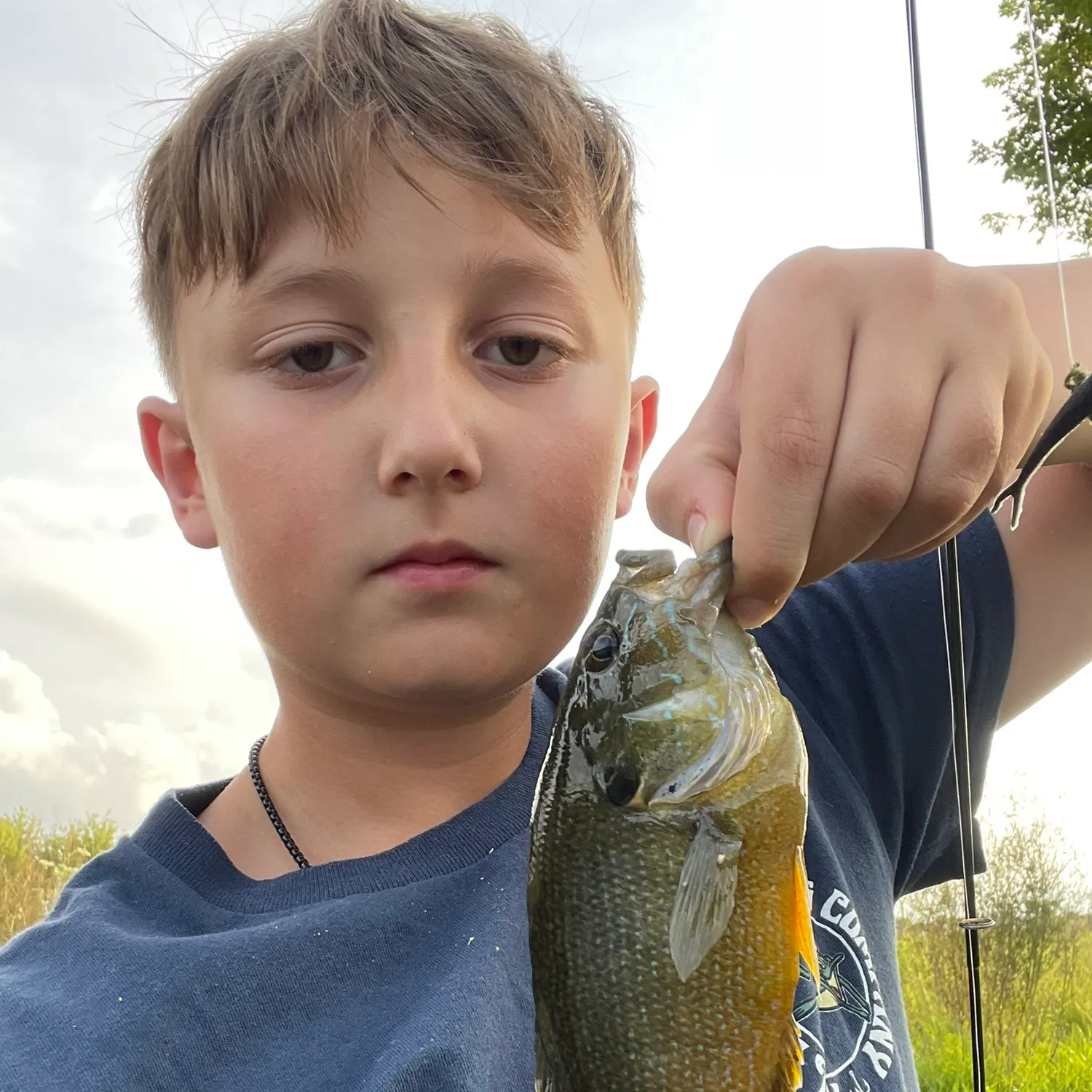 Green sunfish caught on Fishbrain