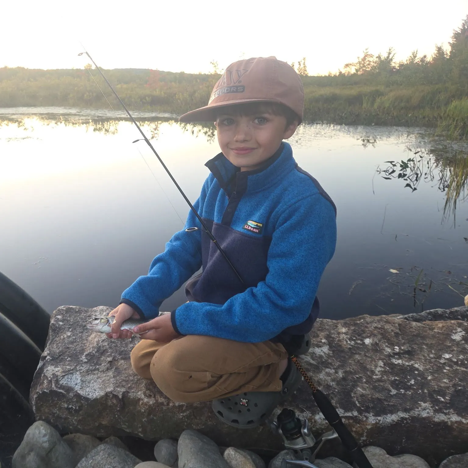 Fallfish caught on Fishbrain
