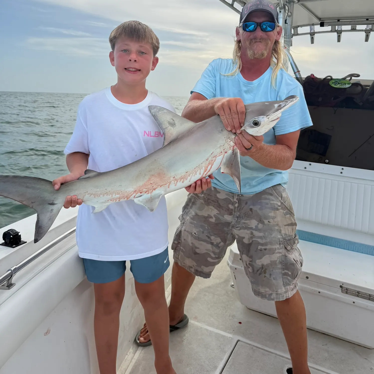 The most recent Great hammerhead shark catches on Fishbrain