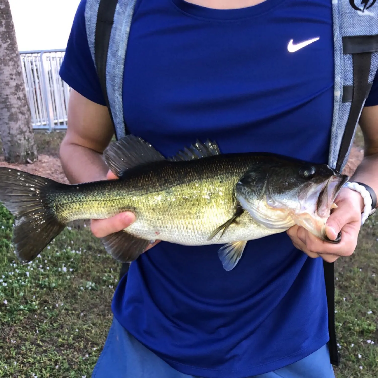 Post image from alrnzo