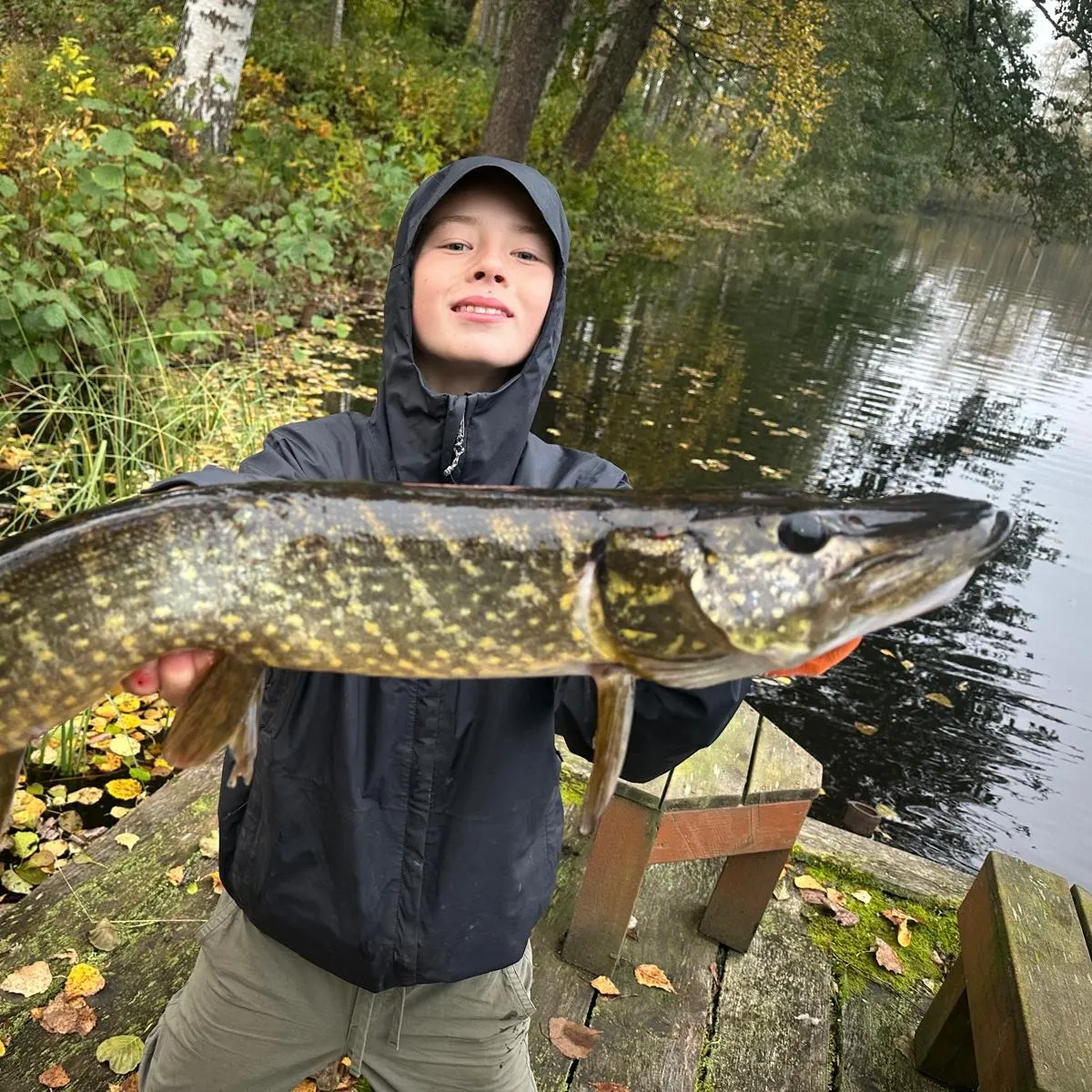 Northern pike caught on Fishbrain