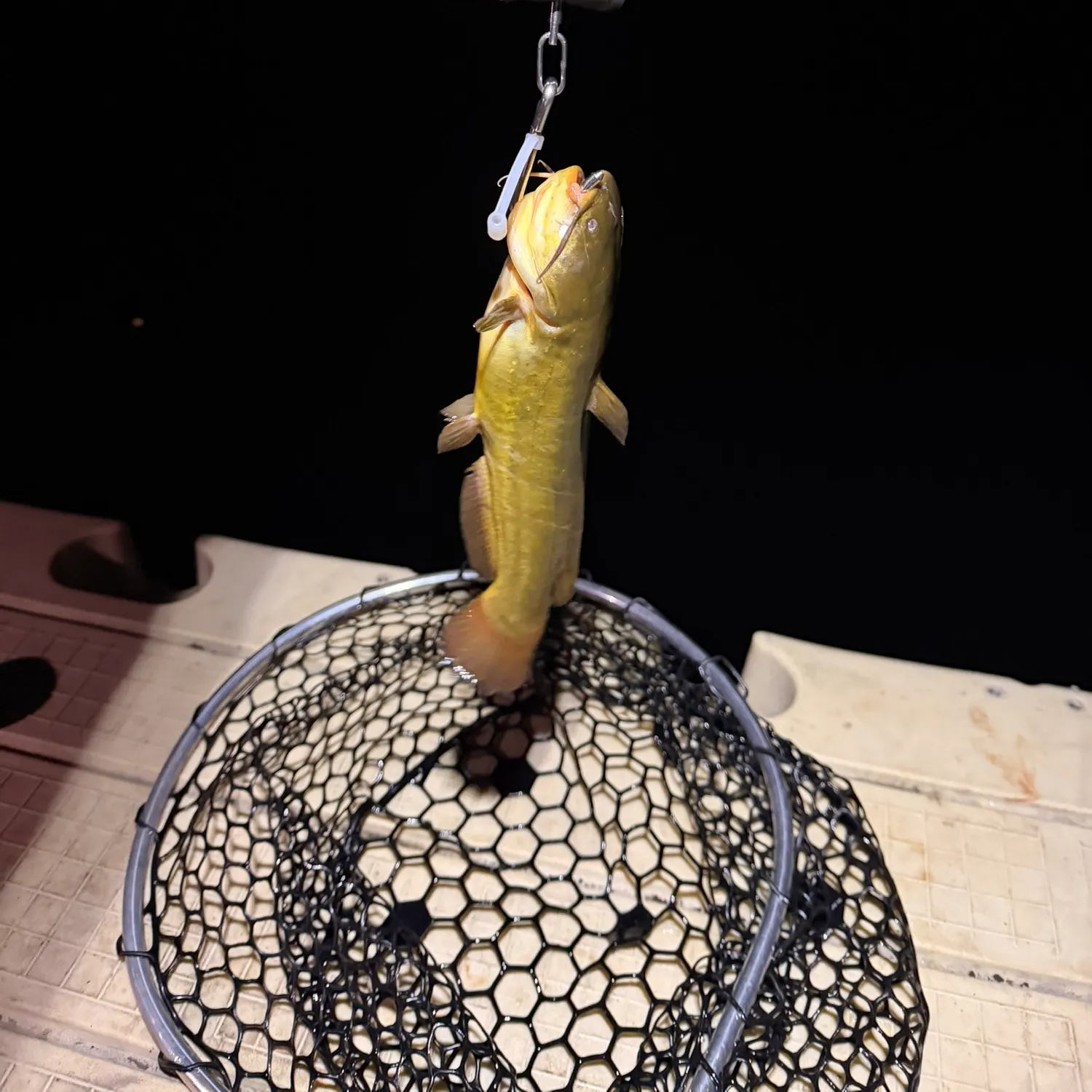 catch