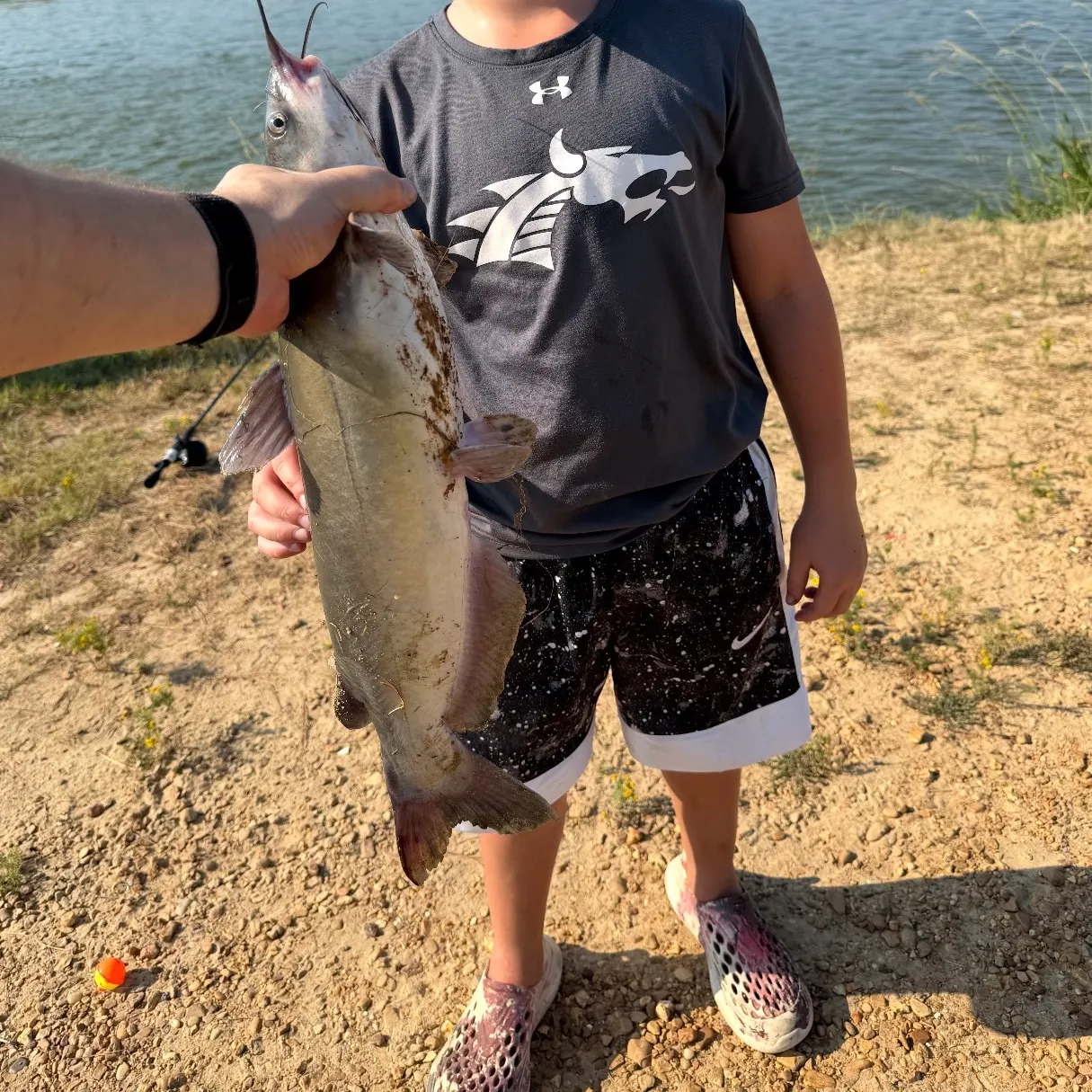 Channel catfish caught on Fishbrain