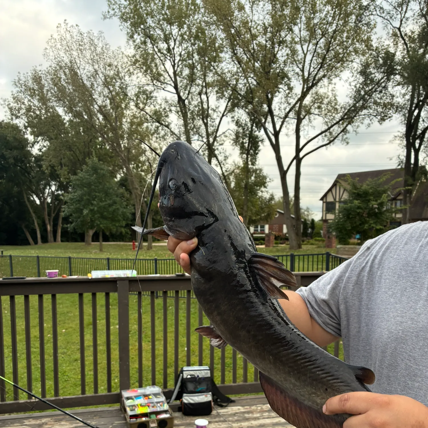 catch