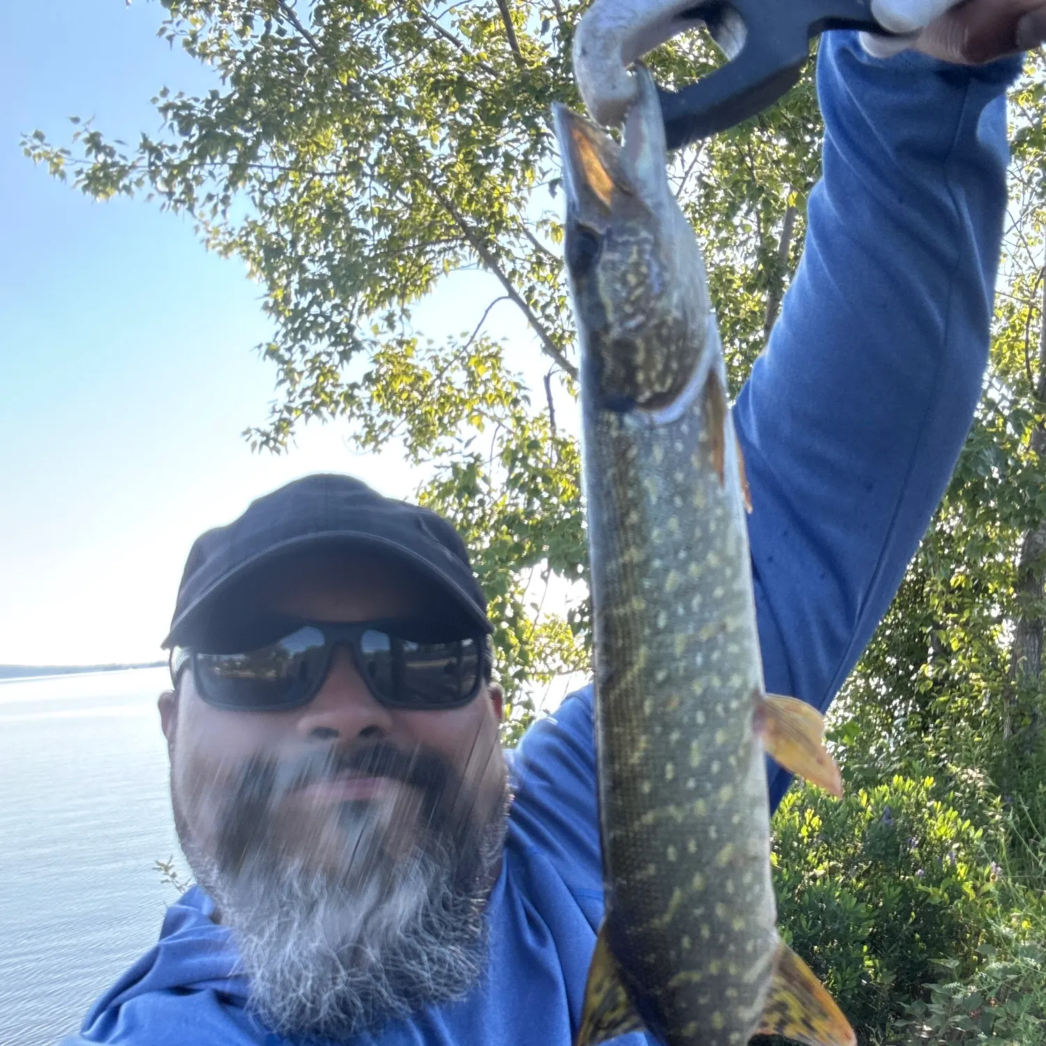 The most recent Northern pike catches on Fishbrain