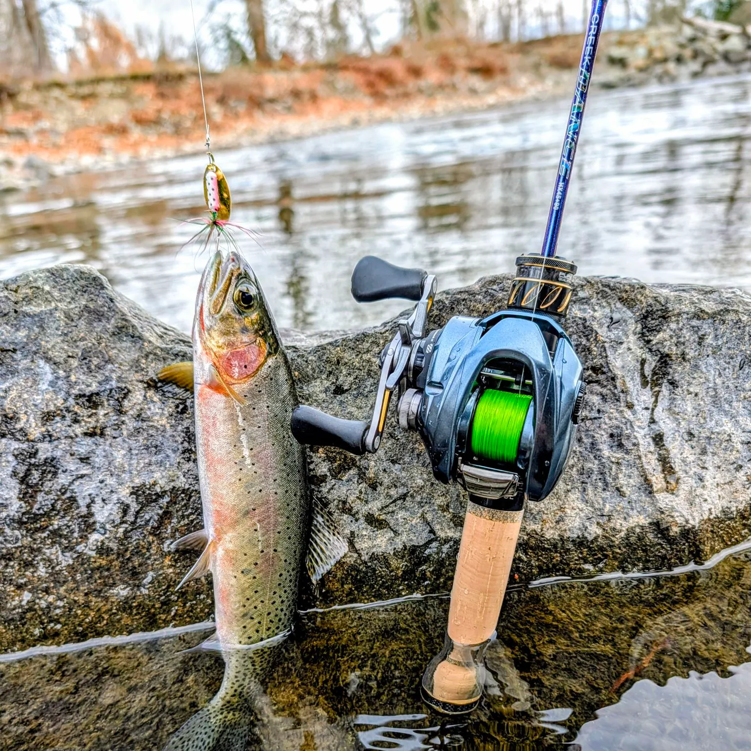 The most recent Cutthroat trout catches on Fishbrain