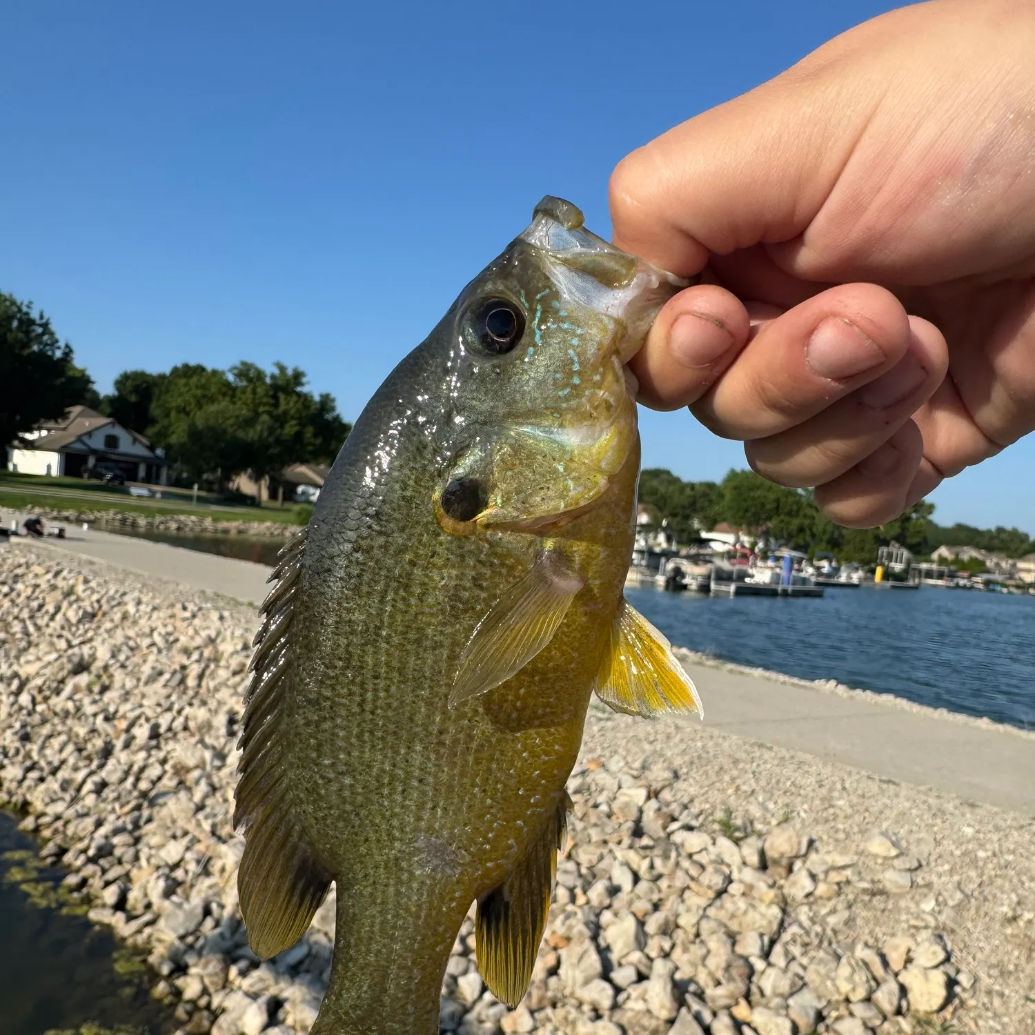 catch