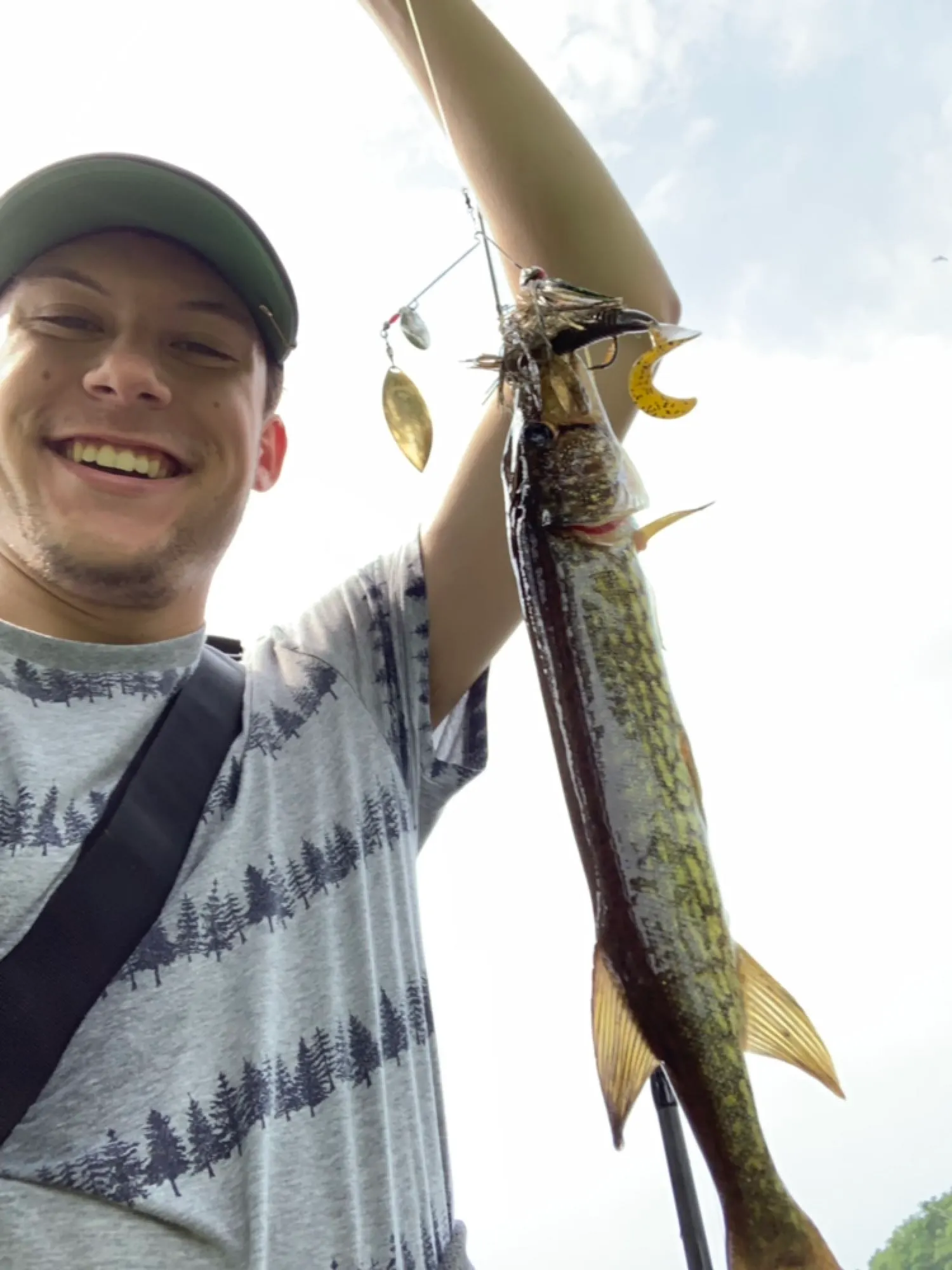 Post image from Logan_Cat