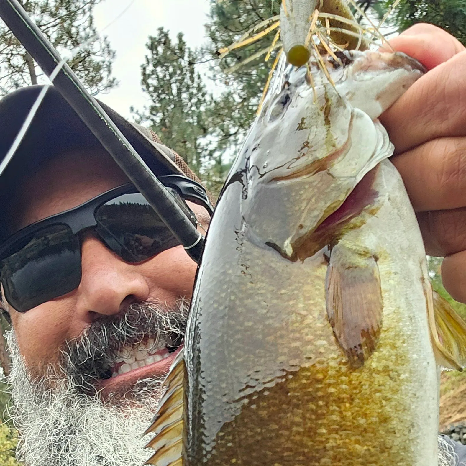 Smallmouth bass caught on Fishbrain