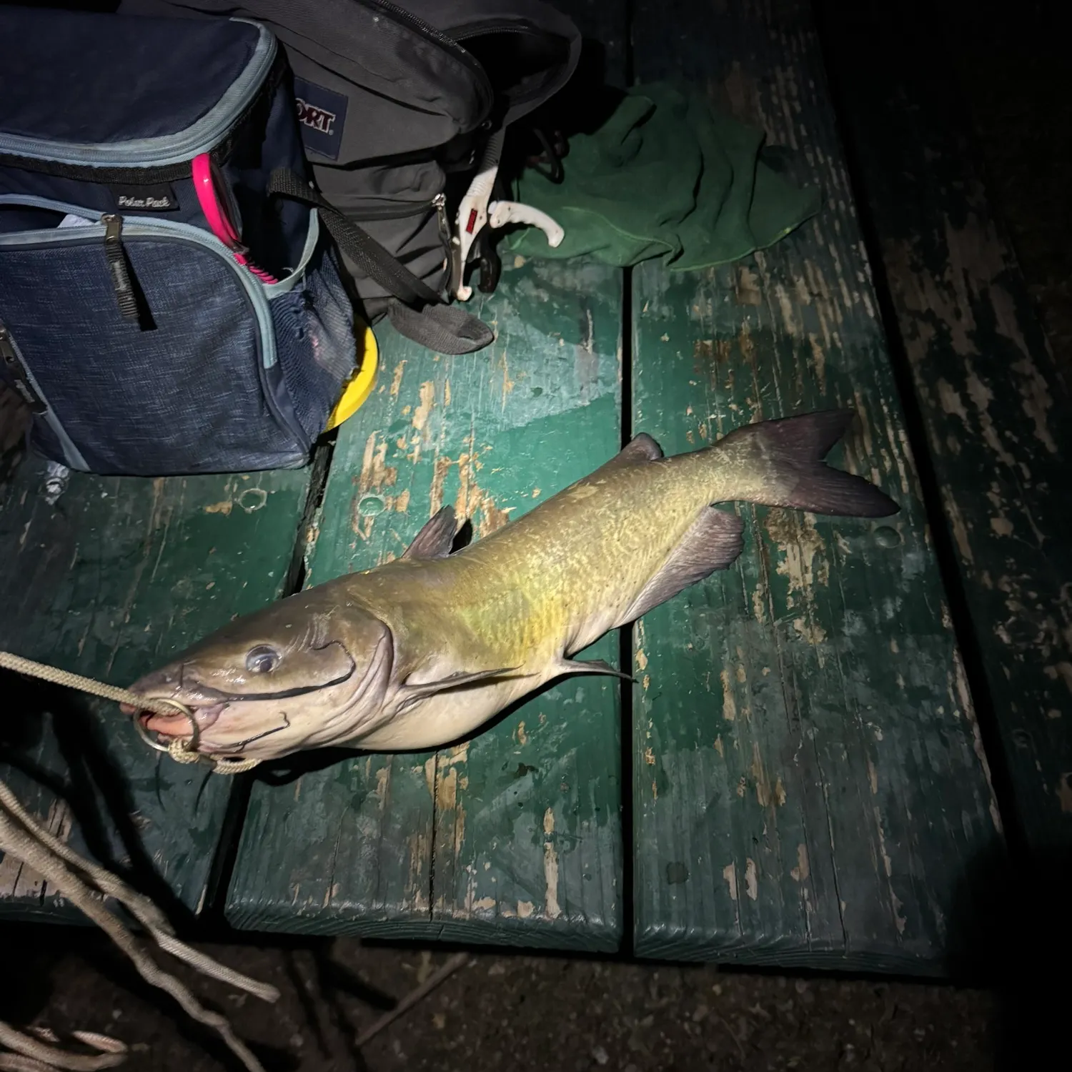 catch