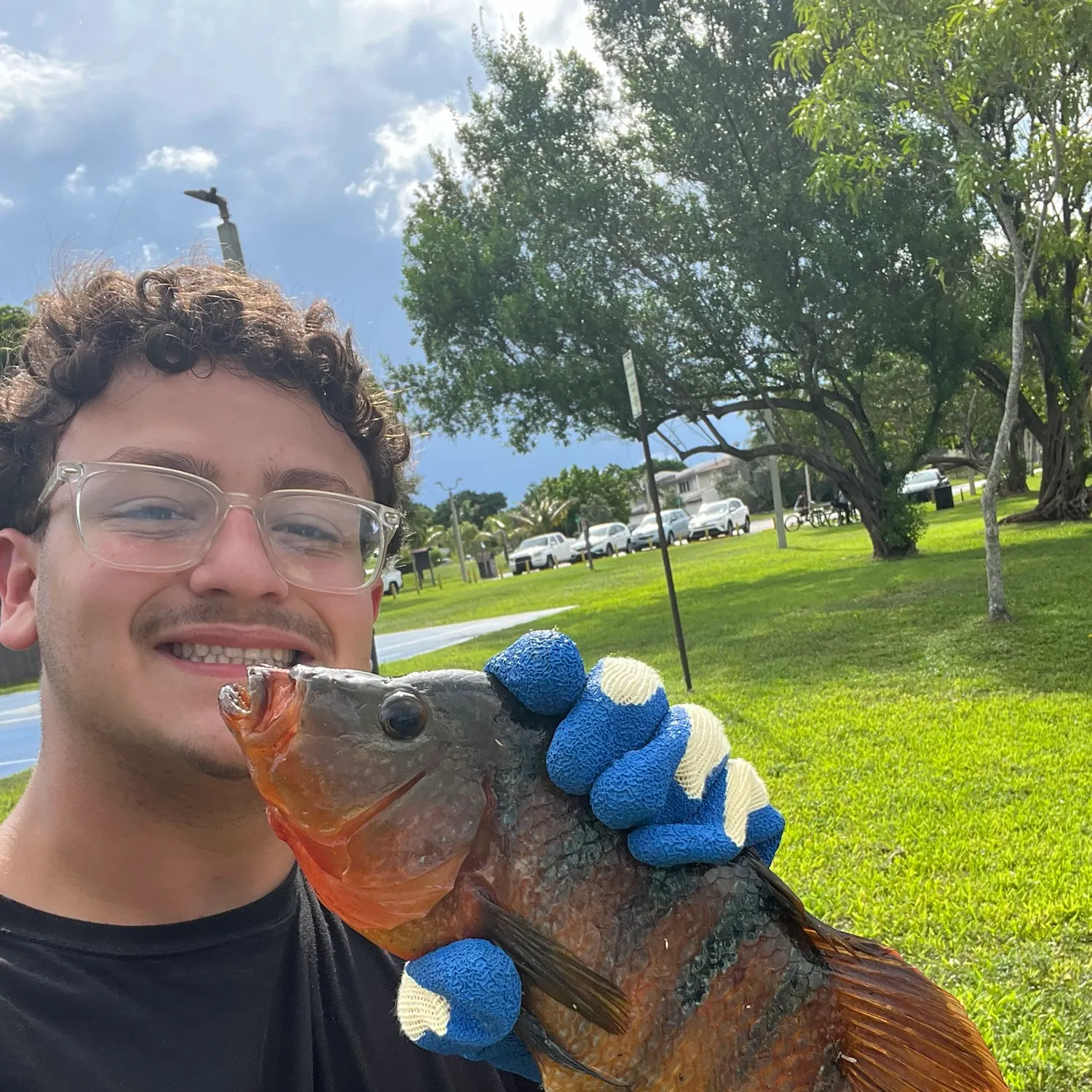 Mayan cichlid caught on Fishbrain