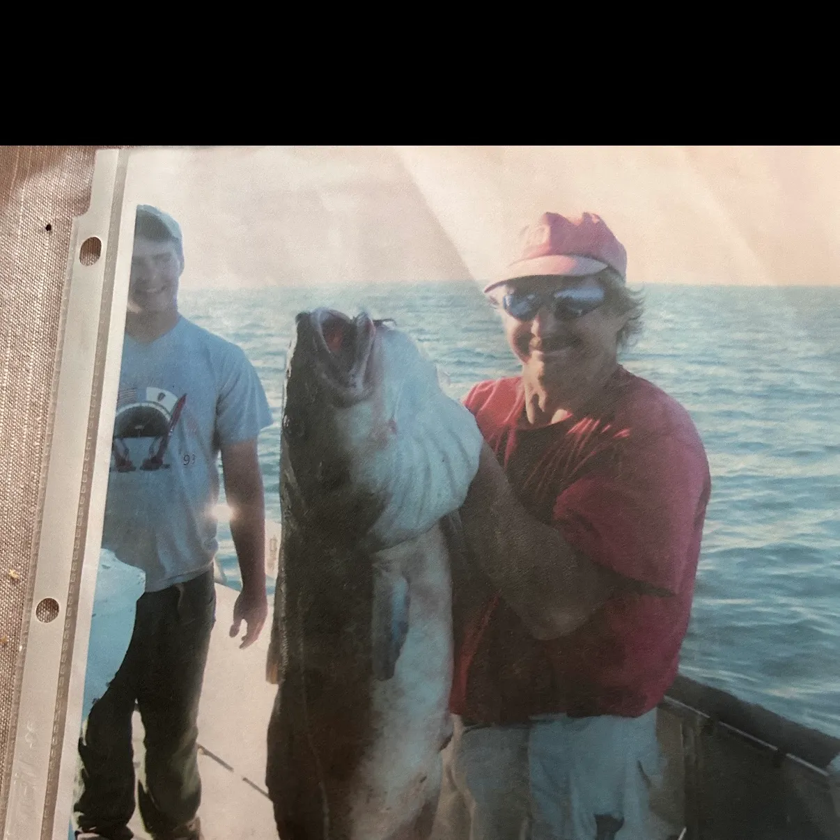 Atlantic cod caught on Fishbrain