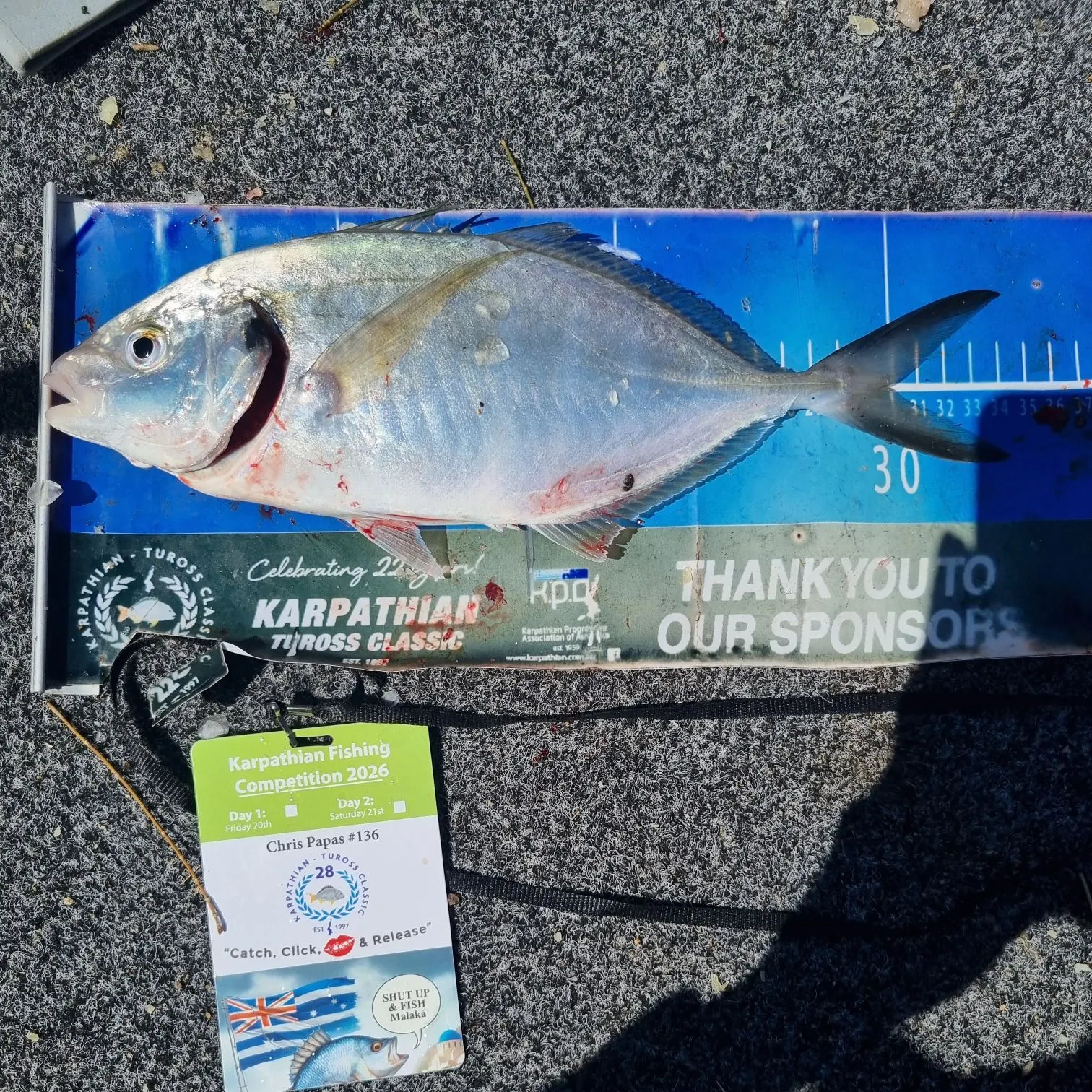 recently logged catches