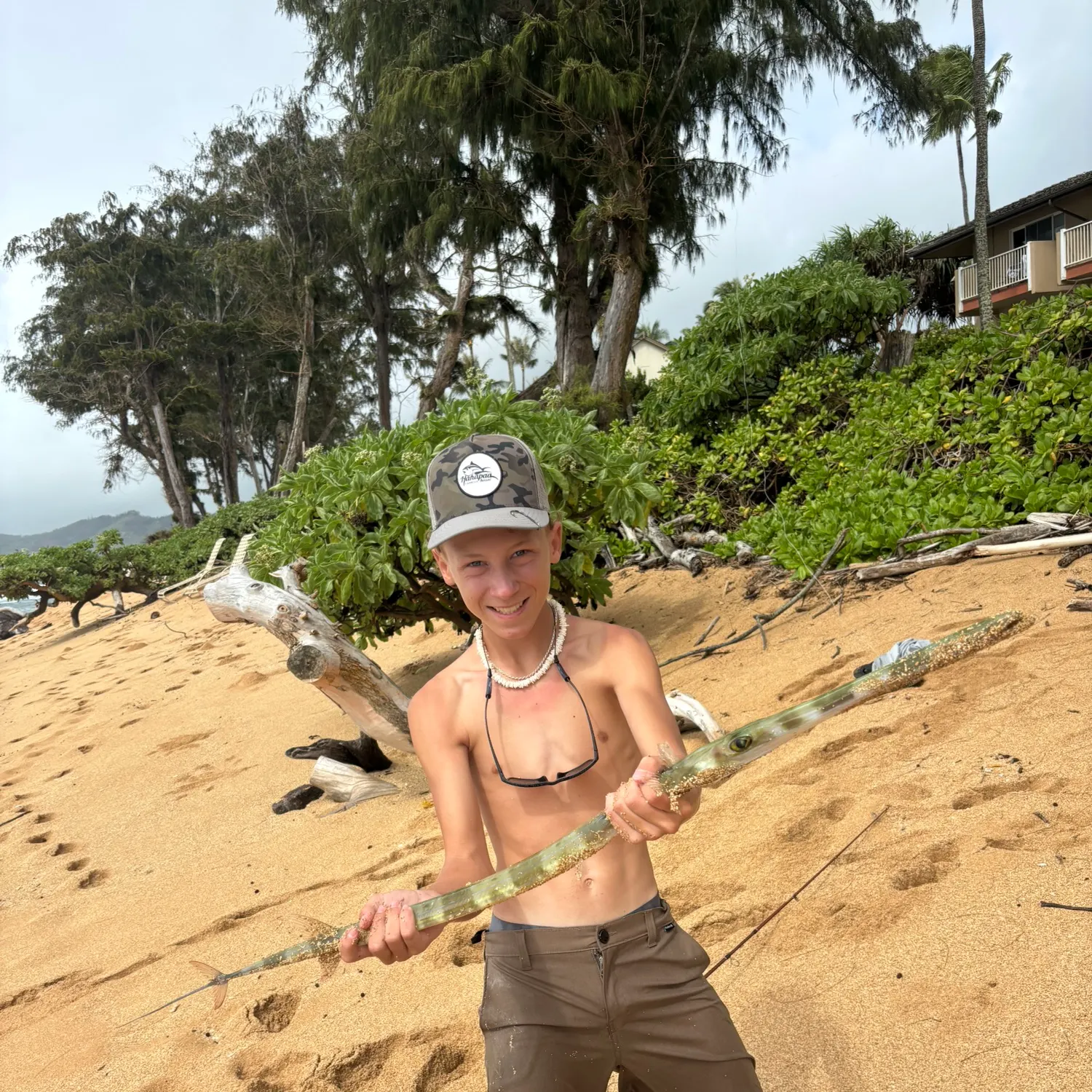 The most recent Red cornetfish catches on Fishbrain