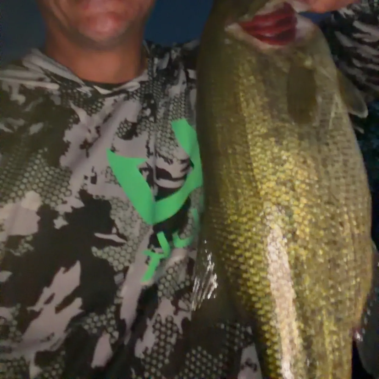 Largemouth bass caught on Fishbrain