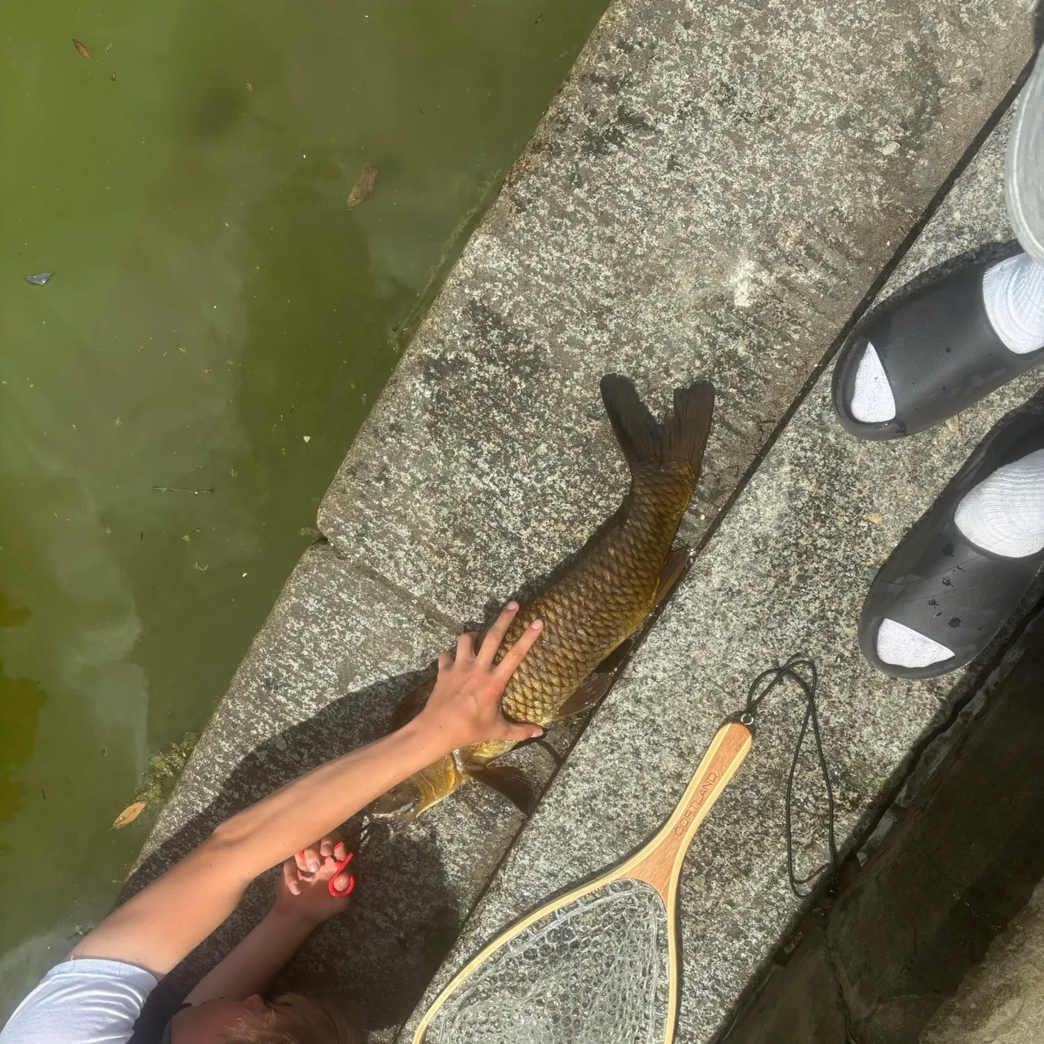 catch