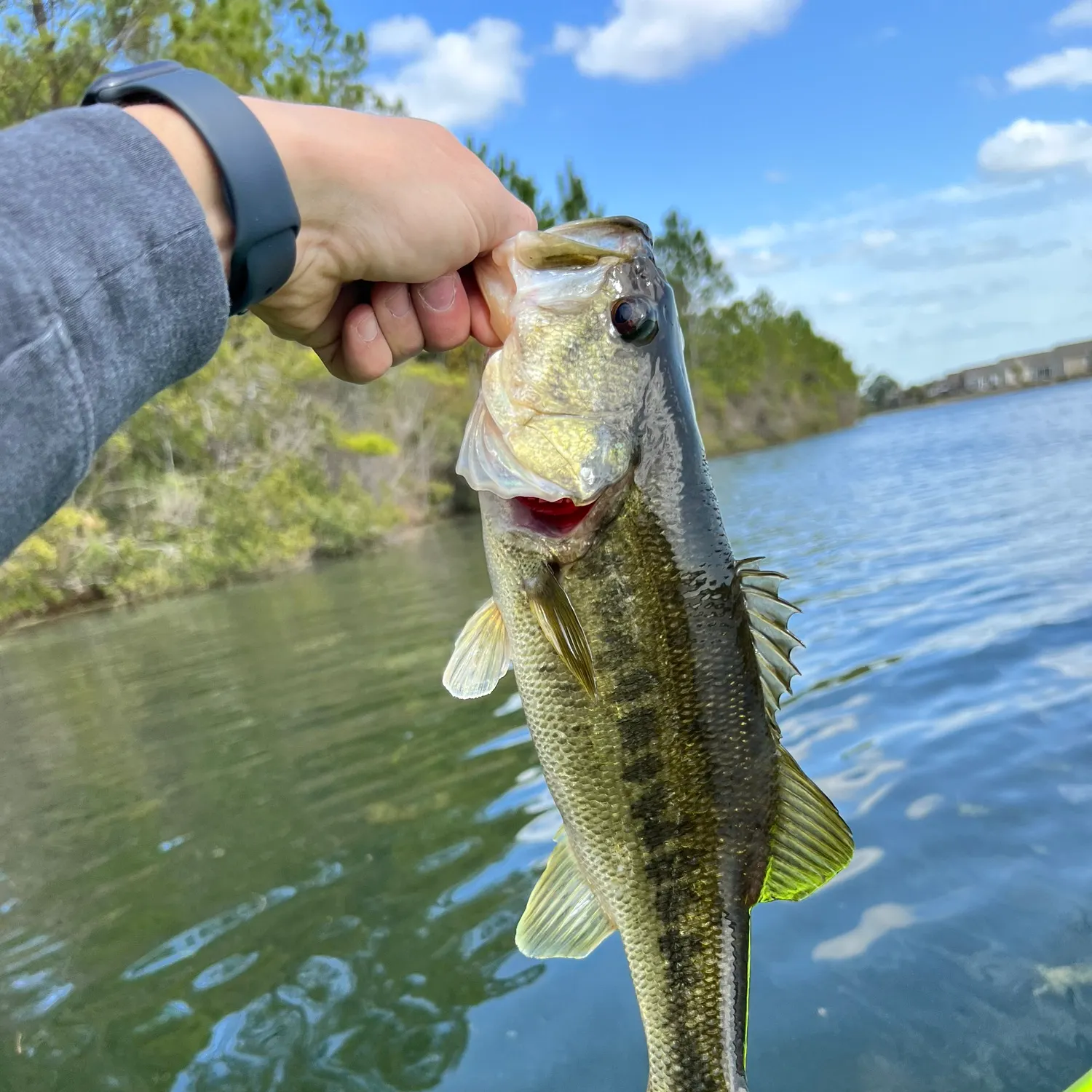 angler catch