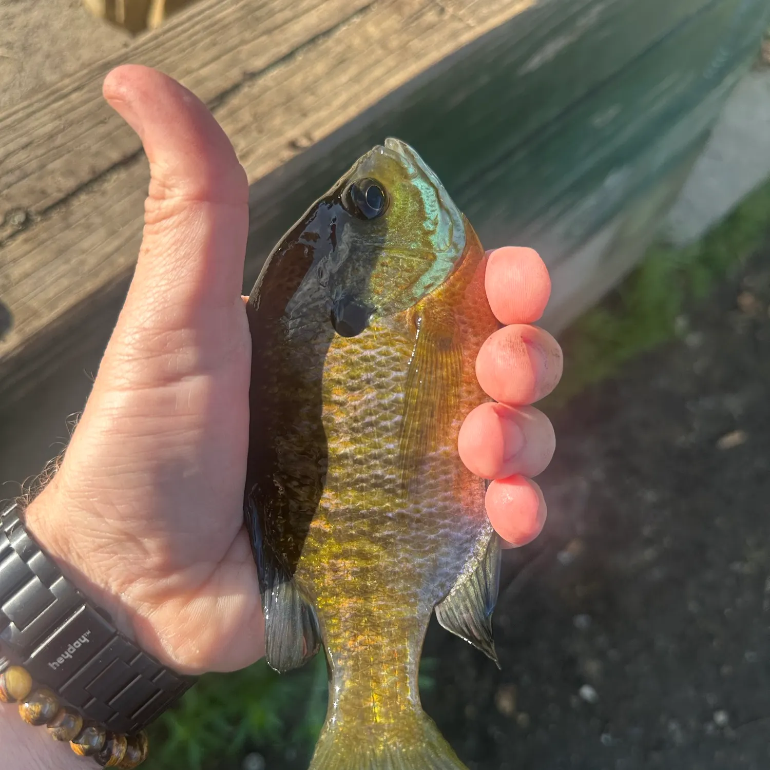 catch