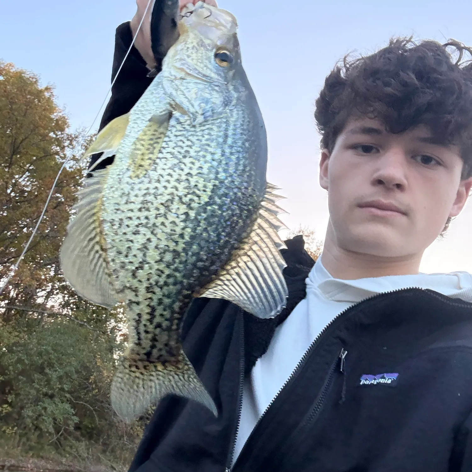 Black crappie caught on Fishbrain
