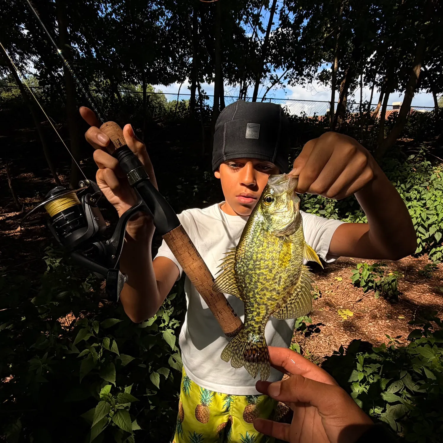 Black crappie caught on Fishbrain