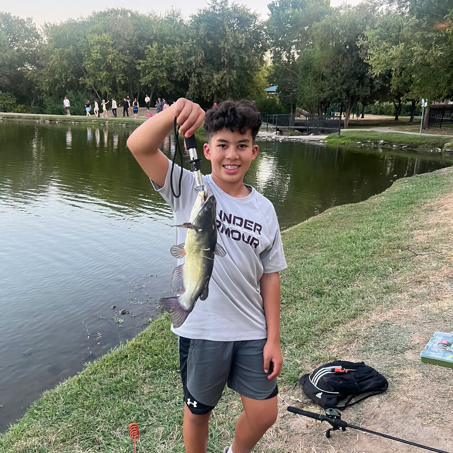 Yellow bullhead caught on Fishbrain