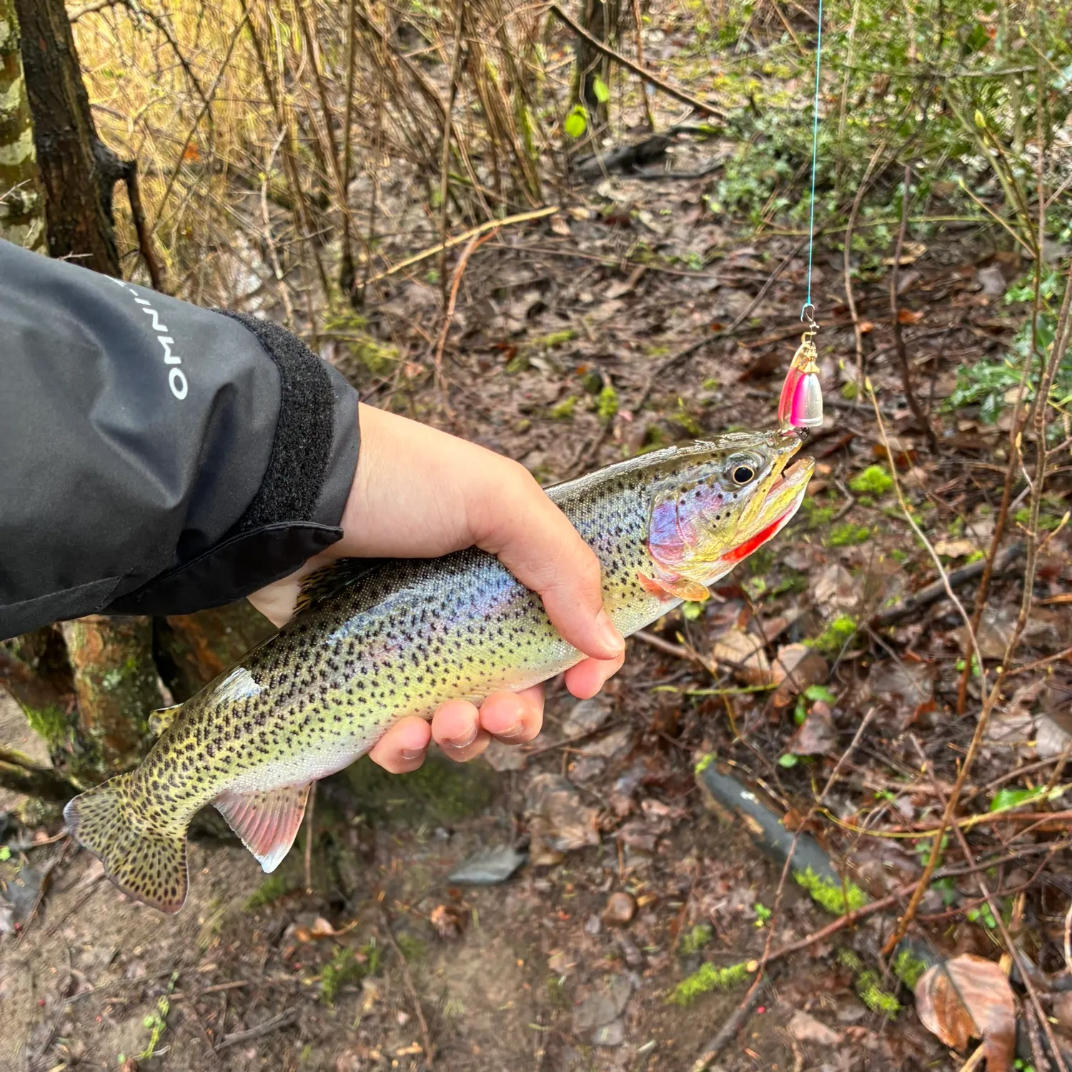The most recent Coastal cutthroat trout catches on Fishbrain