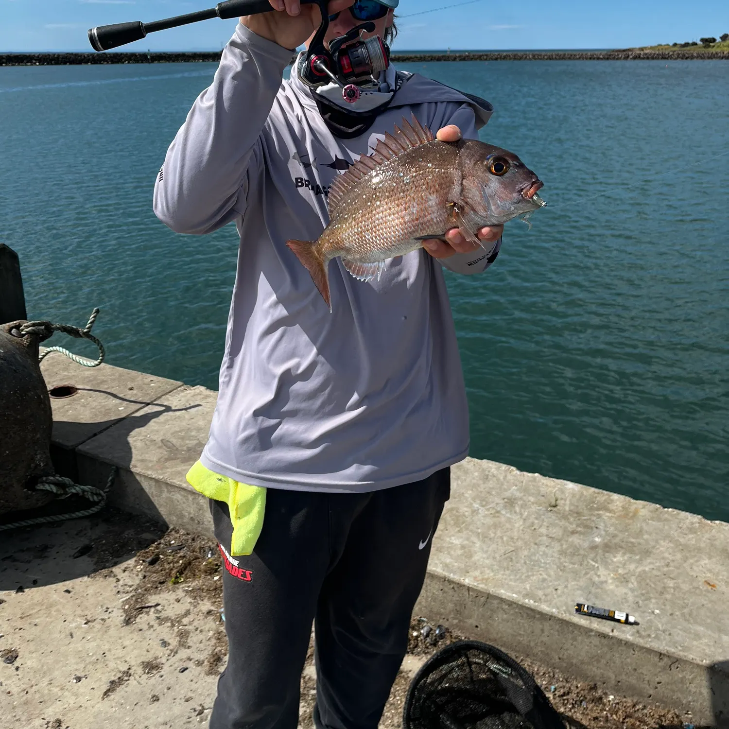 Australasian snapper caught on Fishbrain