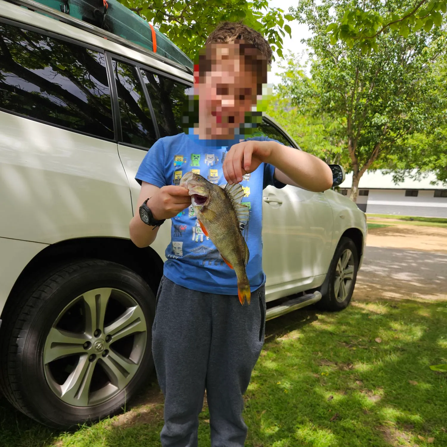 The most recent European perch catches on Fishbrain