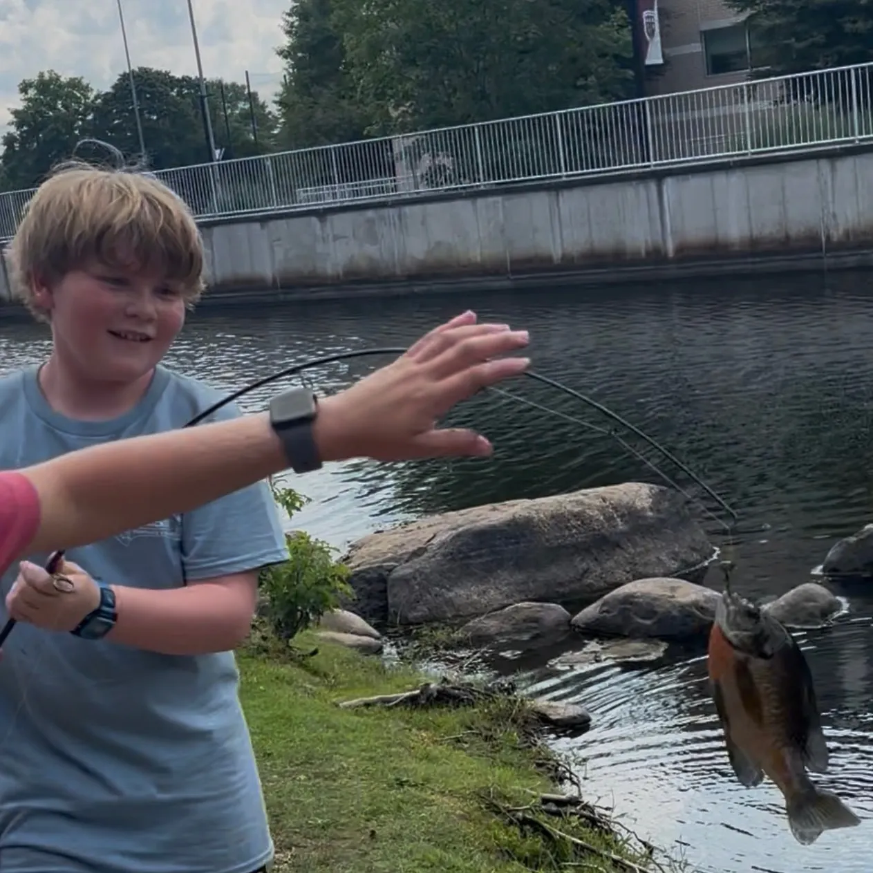 Bluegill caught on Fishbrain
