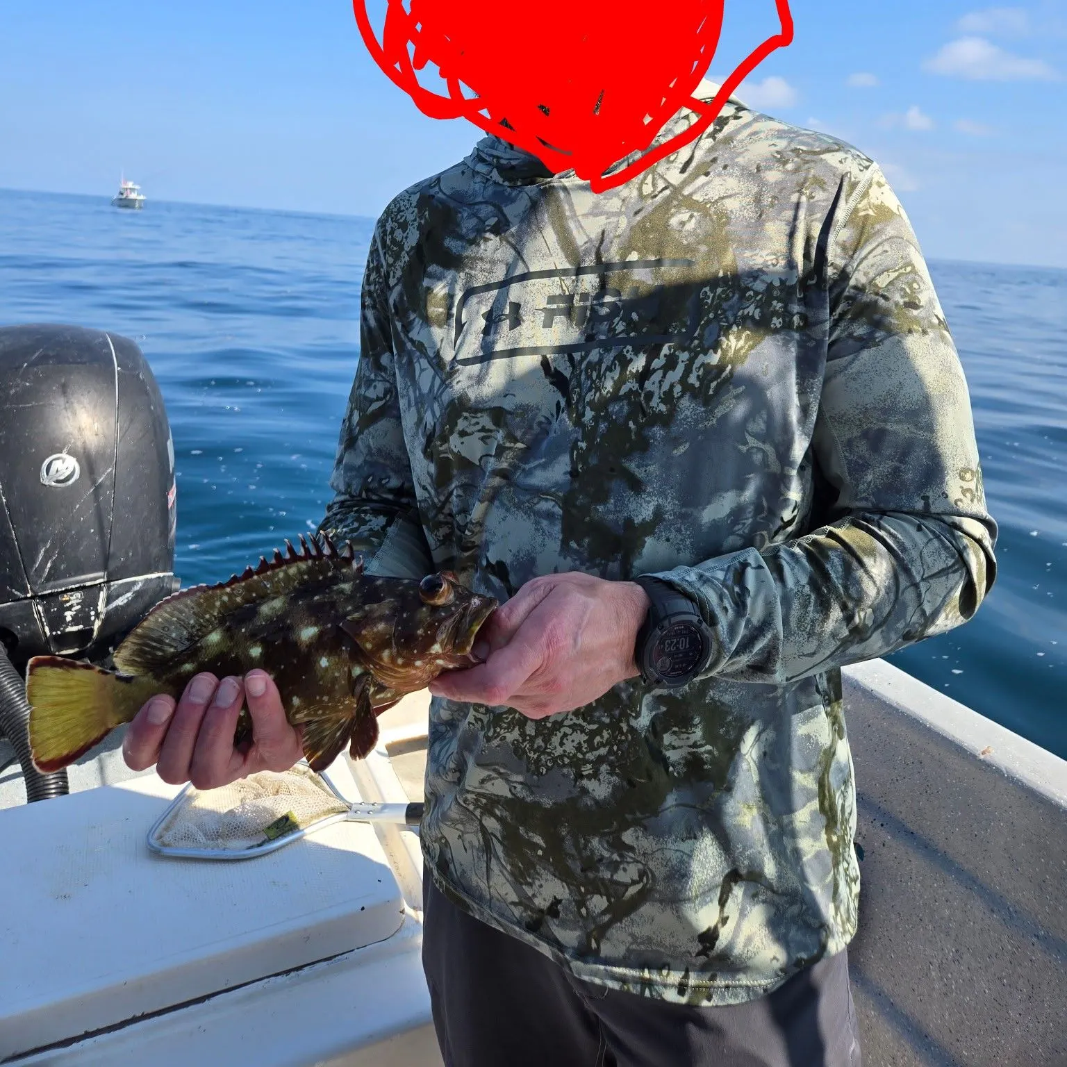The most recent Starry grouper catches on Fishbrain